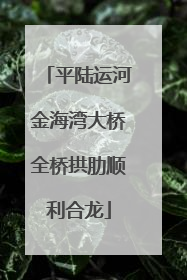 平陆运河金海湾大桥全桥拱肋顺利合龙