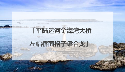 平陆运河金海湾大桥左幅桥面格子梁合龙