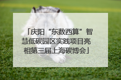 庆阳“东数西算”智慧低碳园区实践项目亮相第三届上海碳博会