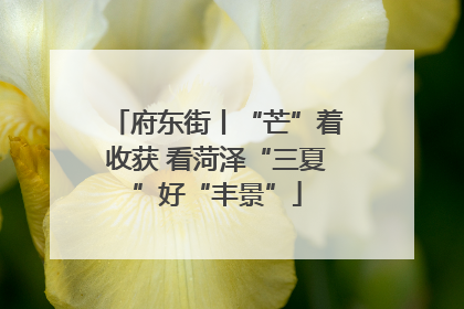 府东街丨“芒”着收获 看菏泽“三夏”好“丰景”