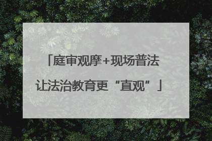 庭审观摩+现场普法 让法治教育更“直观”