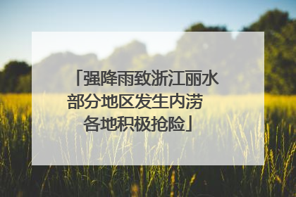 强降雨致浙江丽水部分地区发生内涝 各地积极抢险