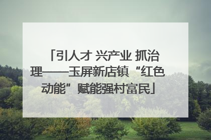 引人才 兴产业 抓治理——玉屏新店镇“红色动能”赋能强村富民