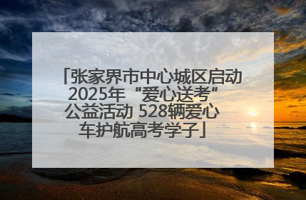 张家界市中心城区启动2025年“爱心送考”公益活动 528辆爱心车护航高考学子