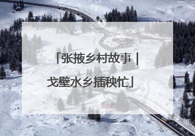 张掖乡村故事｜戈壁水乡插秧忙