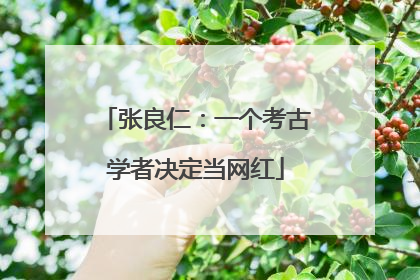 张良仁：一个考古学者决定当网红