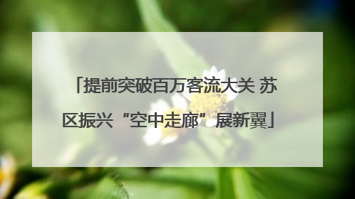 提前突破百万客流大关 苏区振兴“空中走廊”展新翼