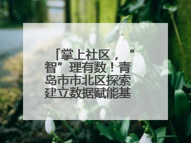 掌上社区，“智”理有数！青岛市市北区探索建立数据赋能基层治理新范式