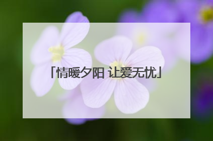 情暖夕阳 让爱无忧