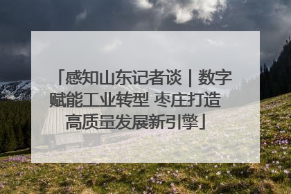 感知山东记者谈｜数字赋能工业转型 枣庄打造高质量发展新引擎