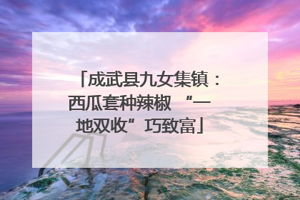 成武县九女集镇：西瓜套种辣椒 “一地双收”巧致富
