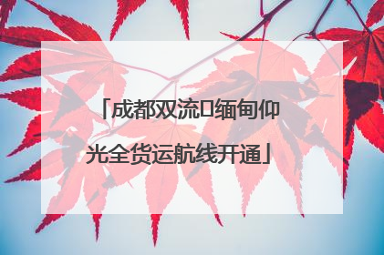 成都双流⇌缅甸仰光全货运航线开通