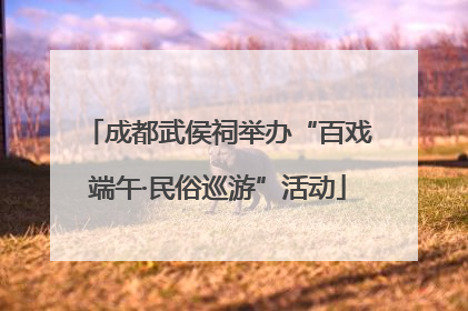 成都武侯祠举办“百戏端午·民俗巡游”活动