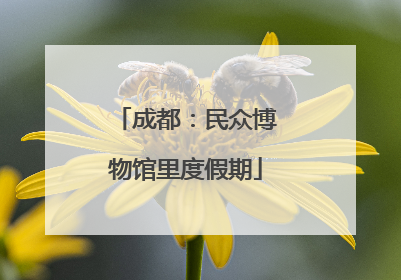 成都：民众博物馆里度假期