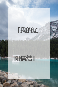 我的辽阳情结