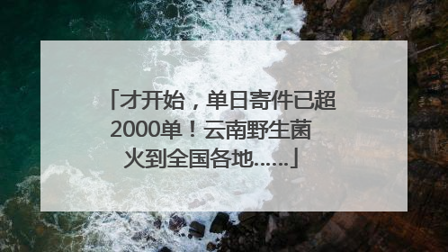 才开始，单日寄件已超2000单！云南野生菌火到全国各地……