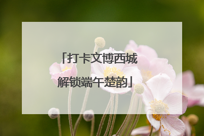 打卡文博西城 解锁端午楚韵