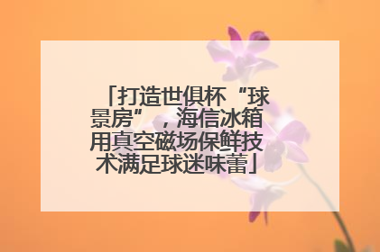 打造世俱杯“球景房”，海信冰箱用真空磁场保鲜技术满足球迷味蕾