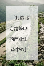 打造北方跨境电商产业生态中心