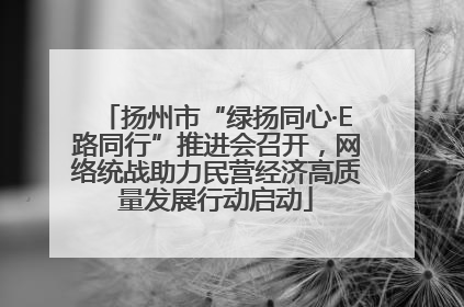 扬州市“绿扬同心·E路同行”推进会召开，网络统战助力民营经济高质量发展行动启动
