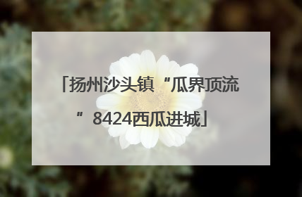 扬州沙头镇“瓜界顶流”8424西瓜进城