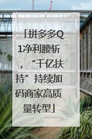 拼多多Q1净利腰斩，“千亿扶持”持续加码商家高质量转型