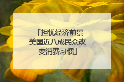 担忧经济前景 美国近八成民众改变消费习惯