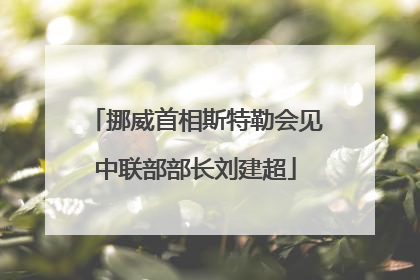 挪威首相斯特勒会见中联部部长刘建超