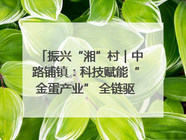 振兴“湘”村｜中路铺镇：科技赋能“金蛋产业” 全链驱动乡村振兴
