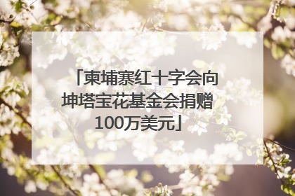 柬埔寨红十字会向坤塔宝花基金会捐赠100万美元
