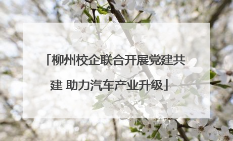 柳州校企联合开展党建共建 助力汽车产业升级