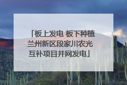 板上发电 板下种植 兰州新区段家川农光互补项目并网发电