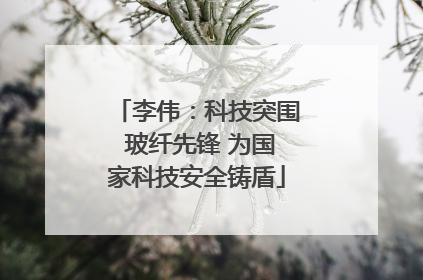 李伟：科技突围 玻纤先锋 为国家科技安全铸盾