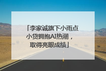 李家诚旗下小雨点小贷拥抱AI热潮，取得亮眼成绩