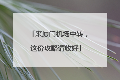来厦门机场中转，这份攻略请收好