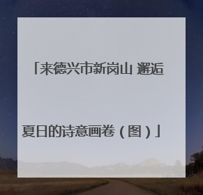 来德兴市新岗山 邂逅夏日的诗意画卷（图）