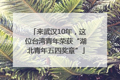 来武汉10年，这位台湾青年荣获“湖北青年五四奖章”