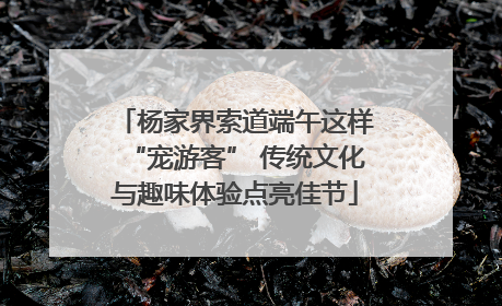 杨家界索道端午这样“宠游客” 传统文化与趣味体验点亮佳节