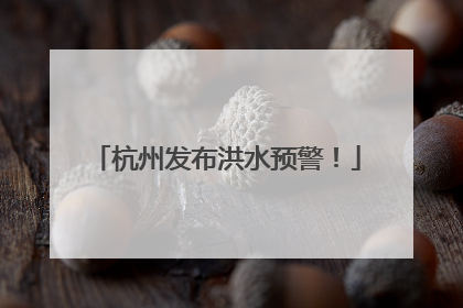 杭州发布洪水预警！