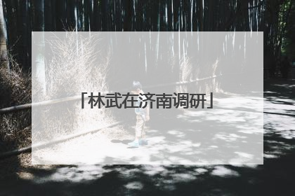 林武在济南调研