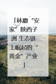 林麝“安家”陕西子洲 生态链上崛起的“黄金”产业