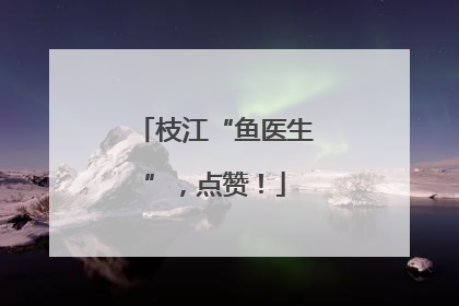 枝江“鱼医生”，点赞！