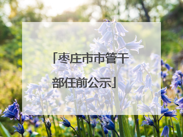 枣庄市市管干部任前公示