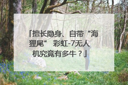 擅长隐身、自带“海狸尾” 彩虹-7无人机究竟有多牛？