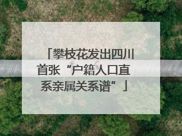 攀枝花发出四川首张“户籍人口直系亲属关系谱”