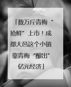 数万斤青梅“抢鲜”上市！成都大邑这个小镇靠青梅“酿出”亿元经济