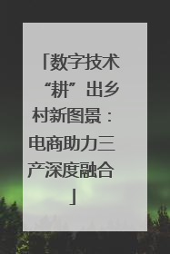 数字技术“耕”出乡村新图景：电商助力三产深度融合