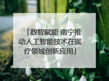 数智赋能 南宁推动人工智能技术在医疗领域创新应用
