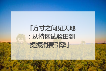 方寸之间见天地：从特区试验田到提振消费引擎