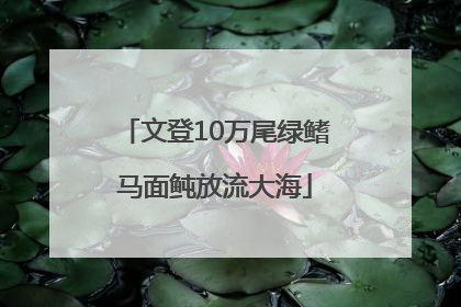 文登10万尾绿鳍马面鲀放流大海